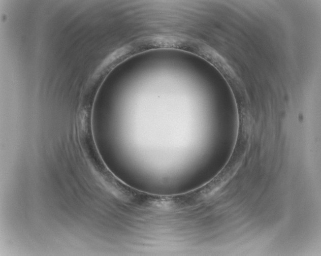 X0000081580071200701221038