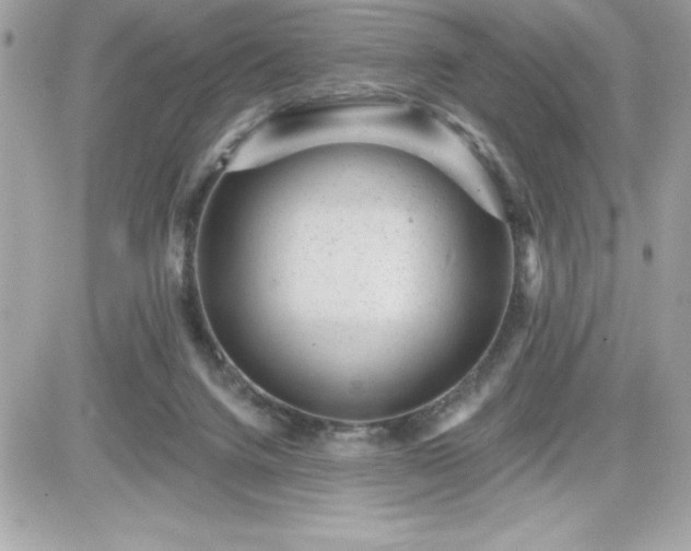 X0000081580072200701221038