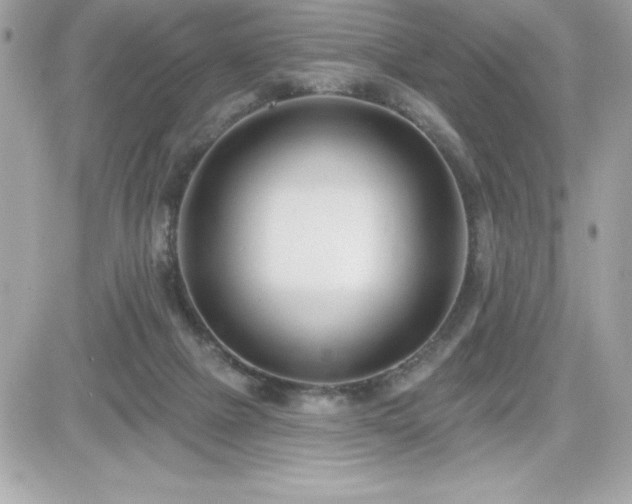 X0000081580073200701221038