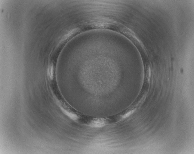 X0000081580076200701221038