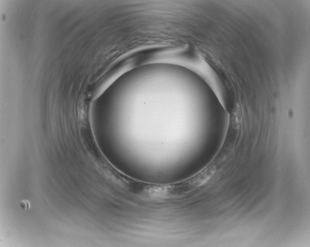 X0000081580084200701221038