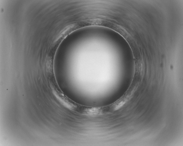 X0000081580092200701221039