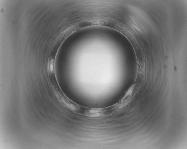 X0000081580095200701221039