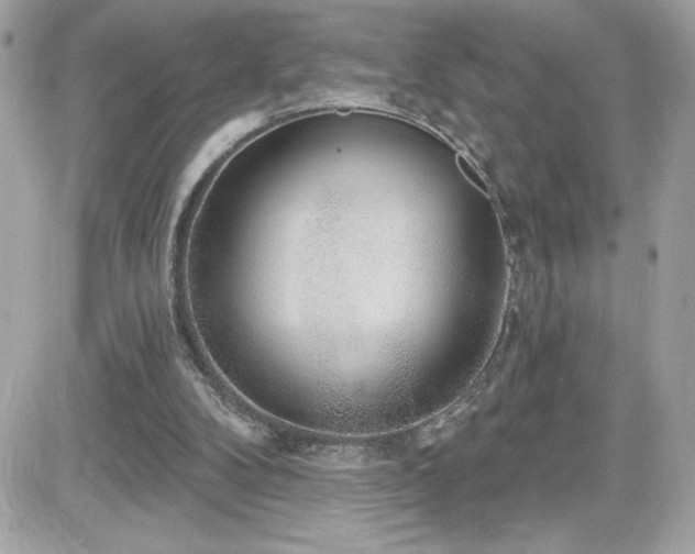 X0000081580104200701221038