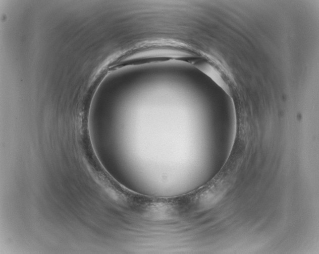 X0000081580111200701221038