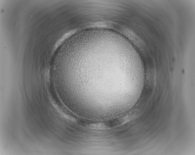 X0000081580112200701221038