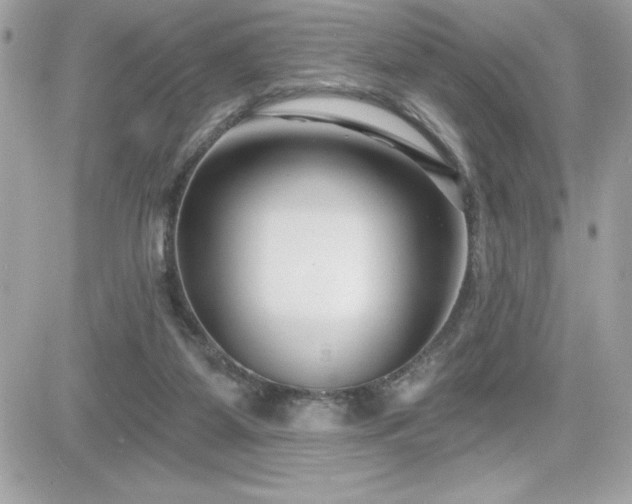X0000081580115200701221038