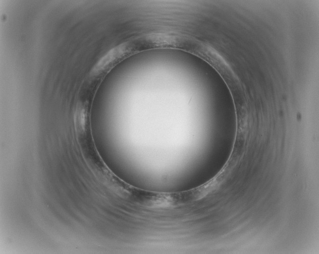 X0000081580124200701221037