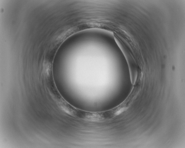 X0000081580125200701221037
