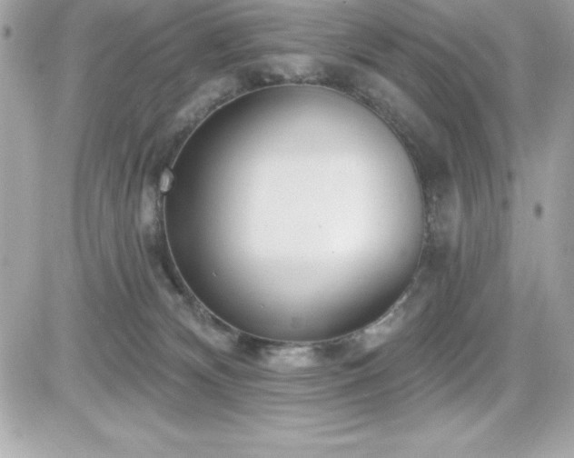 X0000081580132200701221037