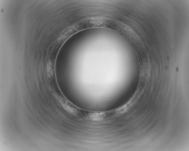X0000081580136200701221037