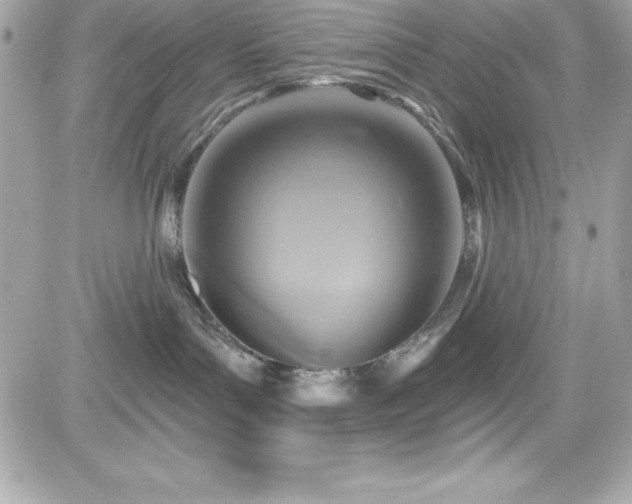 X0000081580143200701221037