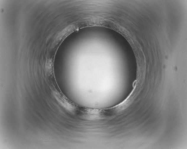 X0000081580144200701221037