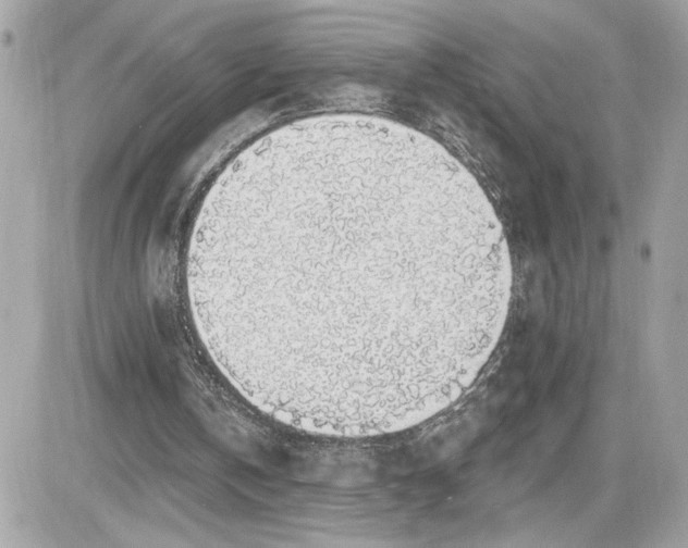 X0000081580146200701221036
