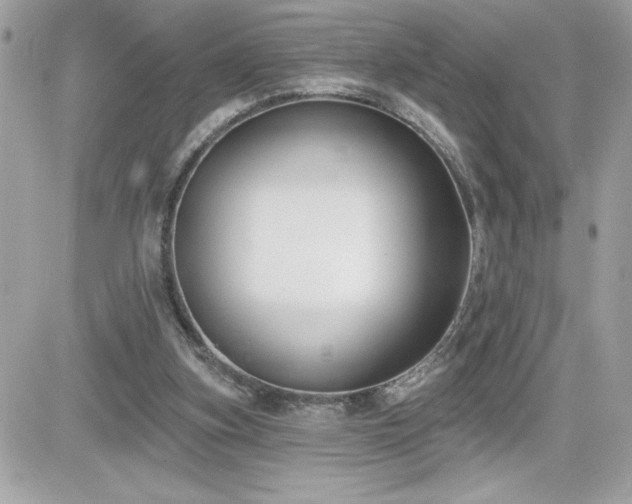 X0000081580155200701221036