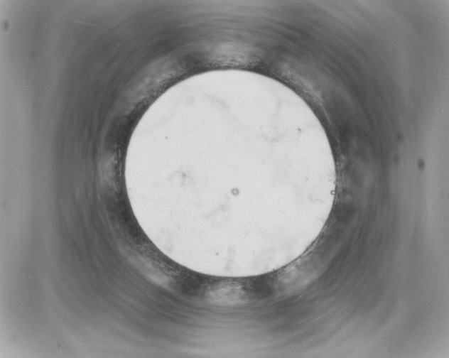 X0000081580162200701221037