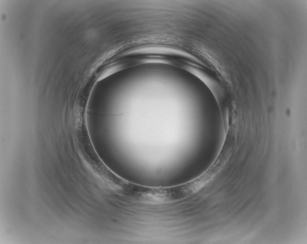 X0000081580164200701221037