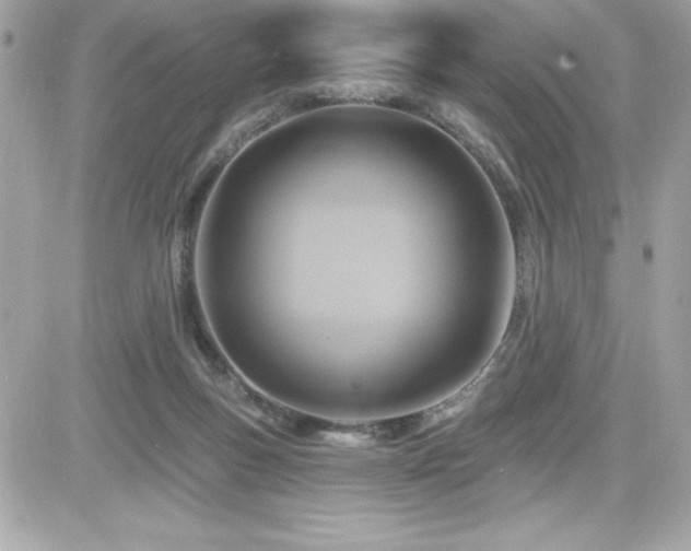 X0000081580167200701221037
