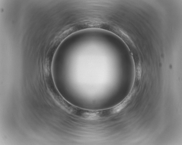 X0000081580170200701221037