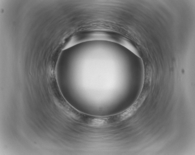 X0000081580176200701221037