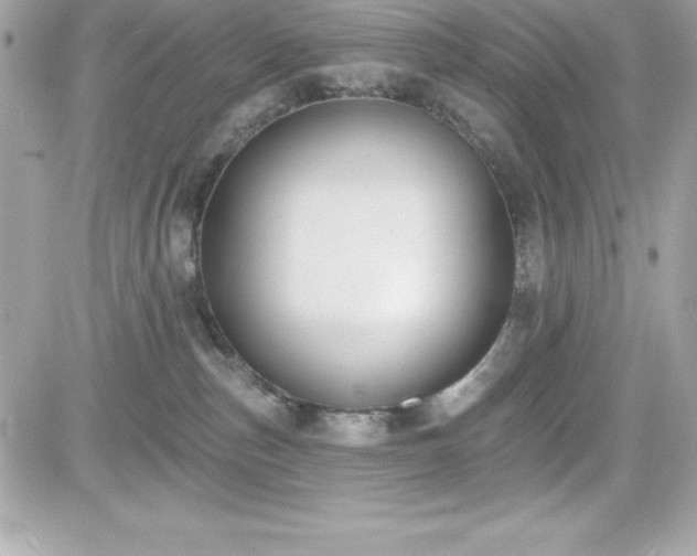 X0000081580187200701221037