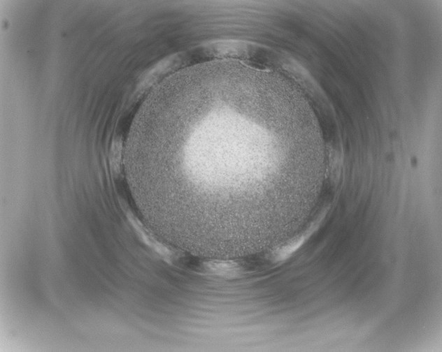 X0000081580189200701221037