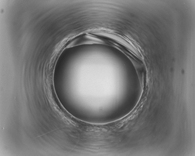 X0000081580193200701221036