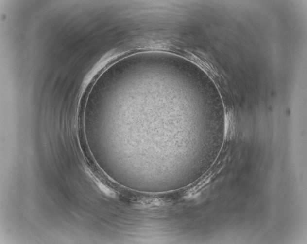 X0000081580195200701221036