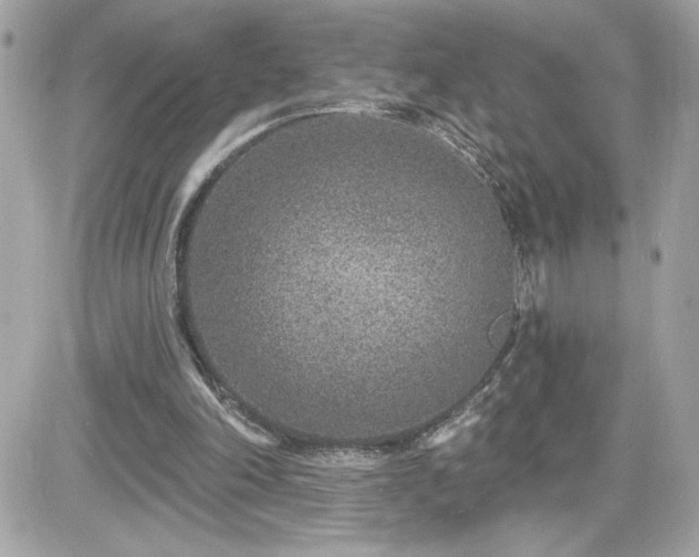 X0000081580198200701221036