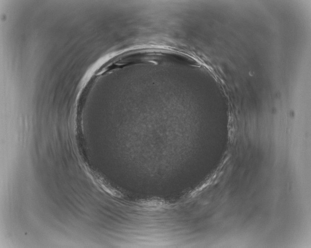 X0000081580200200701221036