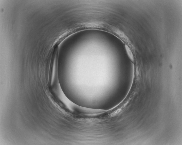 X0000081580201200701221036