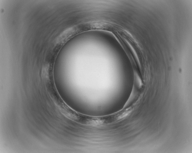 X0000081580217200701221036