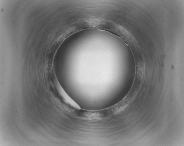 X0000081580221200701221036
