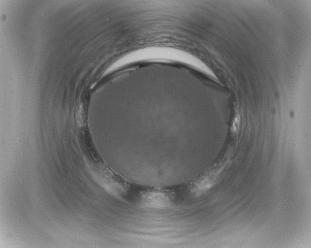 X0000081580224200701221036