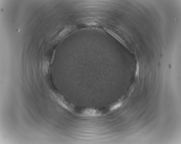 X0000081580227200701221036