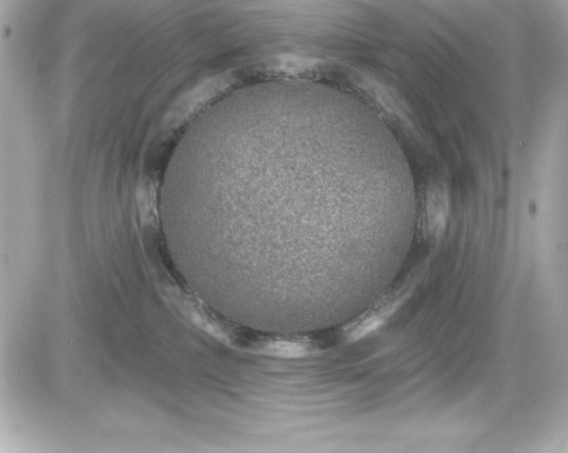 X0000081580236200701221036