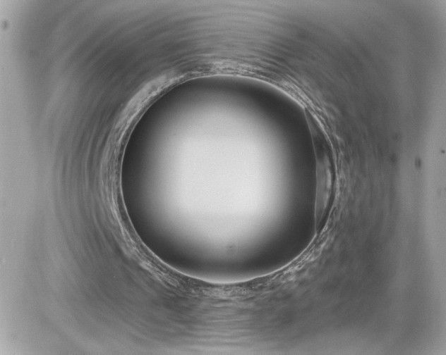 X0000081580241200701221035