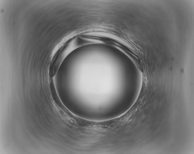 X0000081580244200701221035