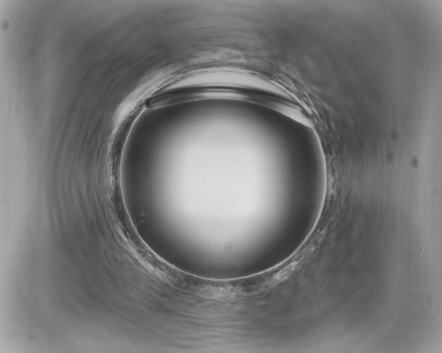 X0000081580245200701221035