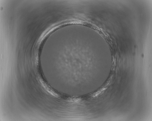 X0000081580247200701221035