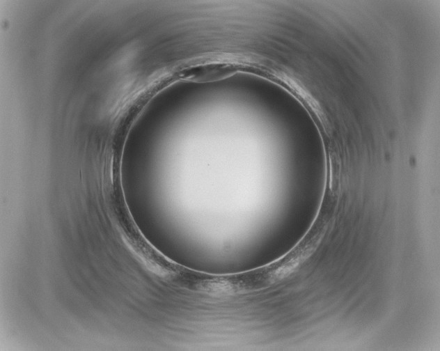 X0000081580253200701221035