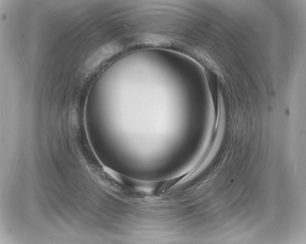 X0000081580256200701221035