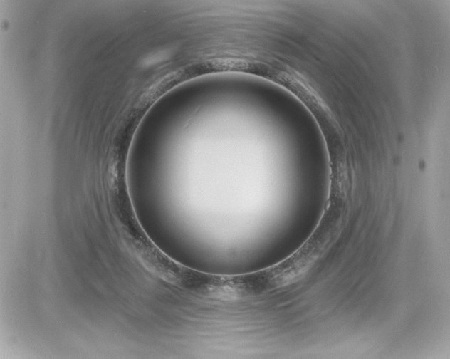 X0000081580259200701221035