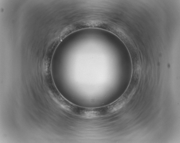 X0000081580268200701221035