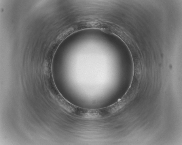 X0000081580270200701221035