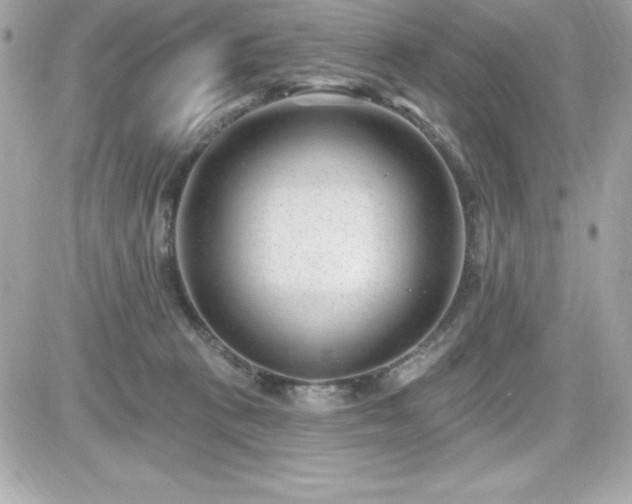 X0000081580273200701221035
