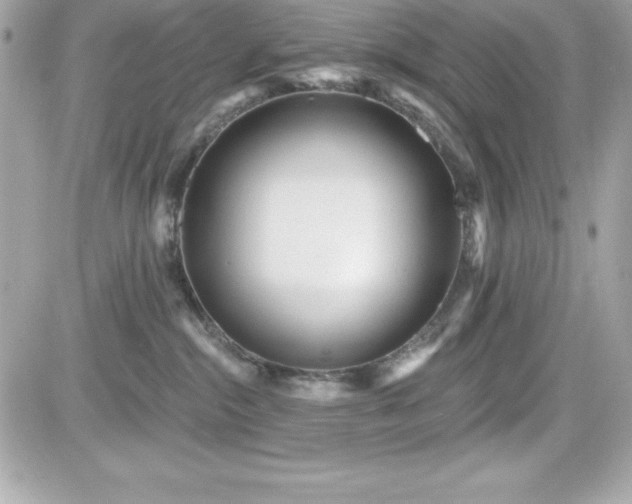X0000081580284200701221035