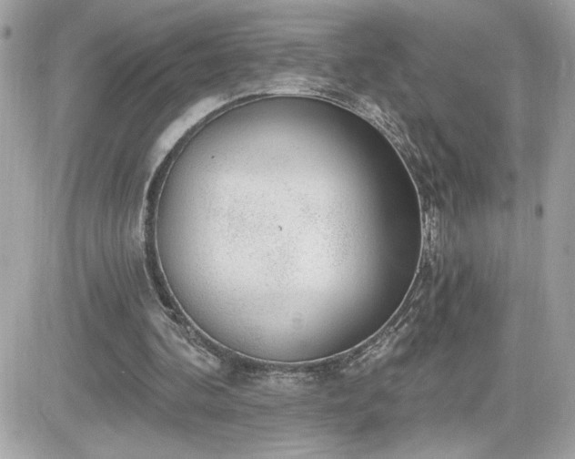 X0000081580292200701221035