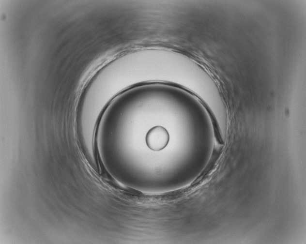 X0000081580293200701221035