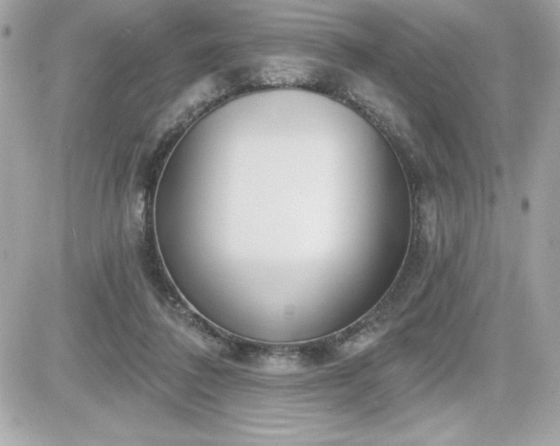 X0000081580308200701221034